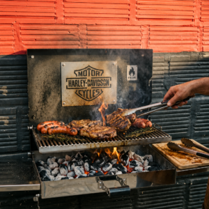 Parrilla Abatible de Pared